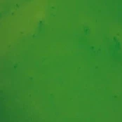 Apple Green metallic floor color swatch