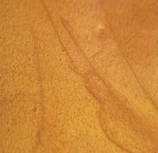 Mayan Gold metallic floor color swatch